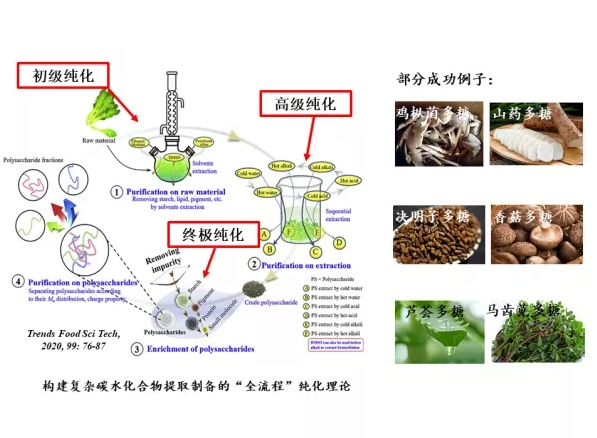 圣淘沙dh胜景天下·(新加坡)官方网站