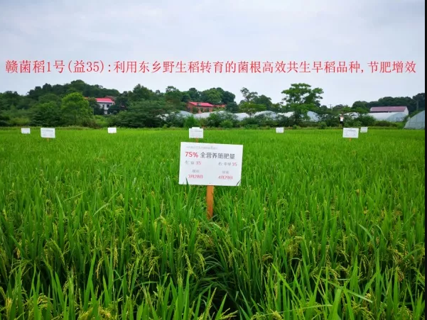 圣淘沙dh胜景天下·(新加坡)官方网站